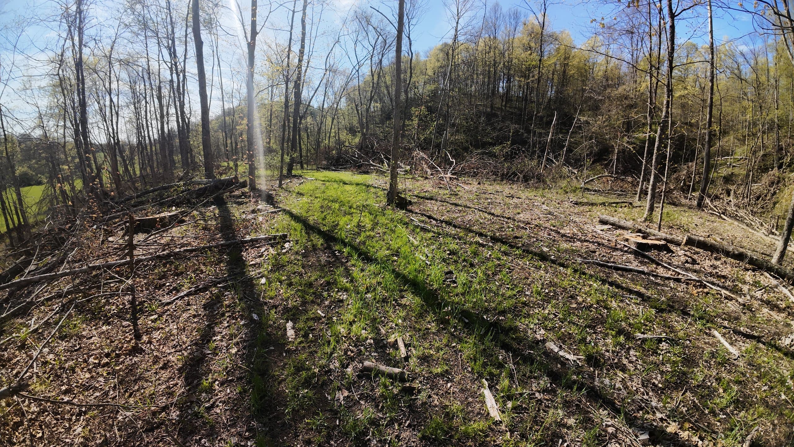 Aerial drone photograph of land parcel along State Route 339 in Dexter, Ohio captured by FAA-certified Horizon Heights Productions pilots.